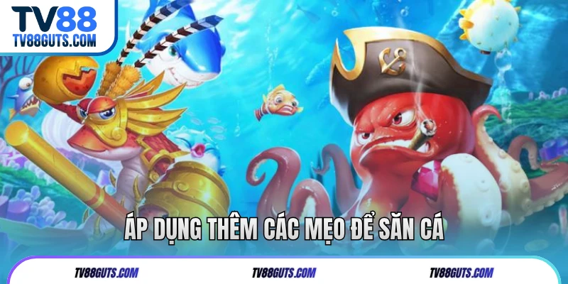 Áp dụng thêm các mẹo để săn cá