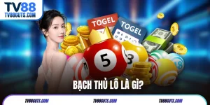 Bạch Thủ Lô Là Gì? Bật Mí 3 Cách Chọn Số Hiệu Quả Tại TV88