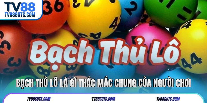 Bạch thủ lô là gì thắc mắc chung của người chơi