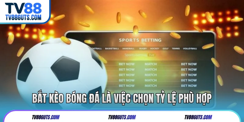 Bắt kèo bóng đá là việc chọn tỷ lệ phù hợp