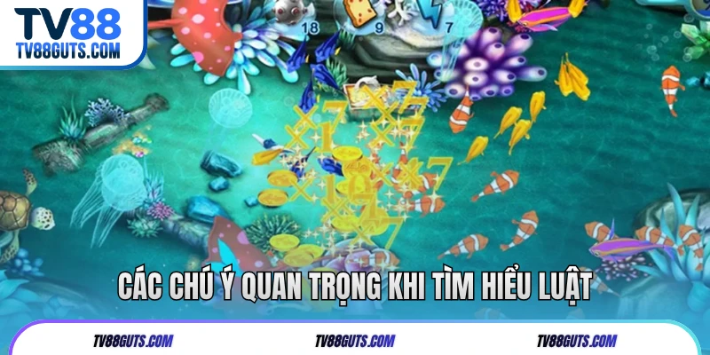 Các chú ý quan trọng khi tìm hiểu luật