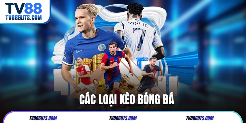 Top 5 Các Loại Kèo Bóng Đá Phổ Biến Người Chơi Cần Biết