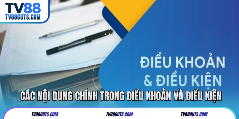 Các nội dung chính trong điều khoản và điều kiện