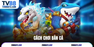Cách Chơi Bắn Cá TV88 | Các Thông Tin Người Mới Nên Biết