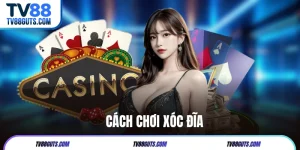 Cách Chơi Xóc Đĩa | Hướng Dẫn Từ A Đến Z Cho Người Mới