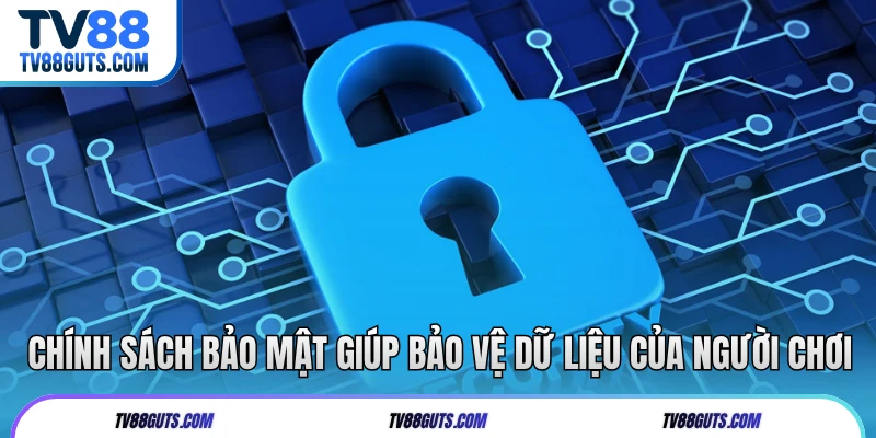 Chính sách bảo mật giúp bảo vệ dữ liệu của người chơi