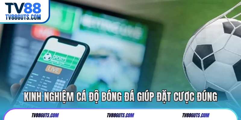 Kinh nghiệm cá độ bóng đá giúp đặt cược đúng