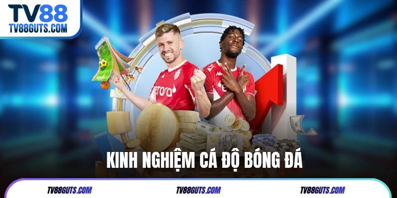 4+ Kinh Nghiệm Cá Độ Bóng Đá Chinh Phục Mọi Trận Đấu