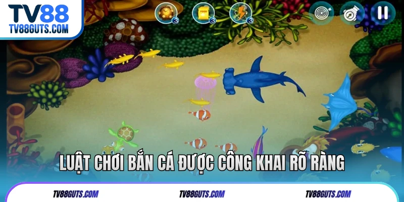 Luật chơi bắn cá được công khai rõ ràng