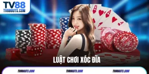 Hướng Dẫn Luật Chơi Xóc Đĩa Tại TV88 Cho Người Mới