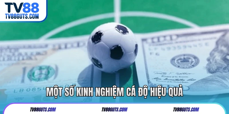 Một số kinh nghiệm cá độ hiệu quả