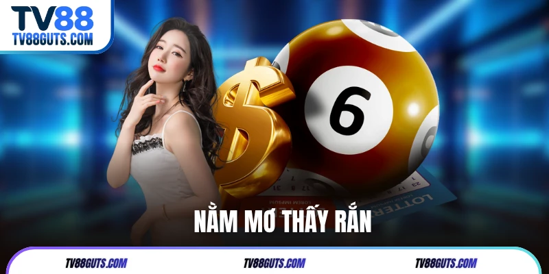 Nằm Mơ Thấy Rắn - Điềm Lành Hay Xấu Và Những Con Số May Mắn