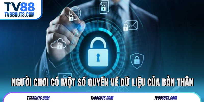 Người chơi có một số quyền về dữ liệu của bản thân