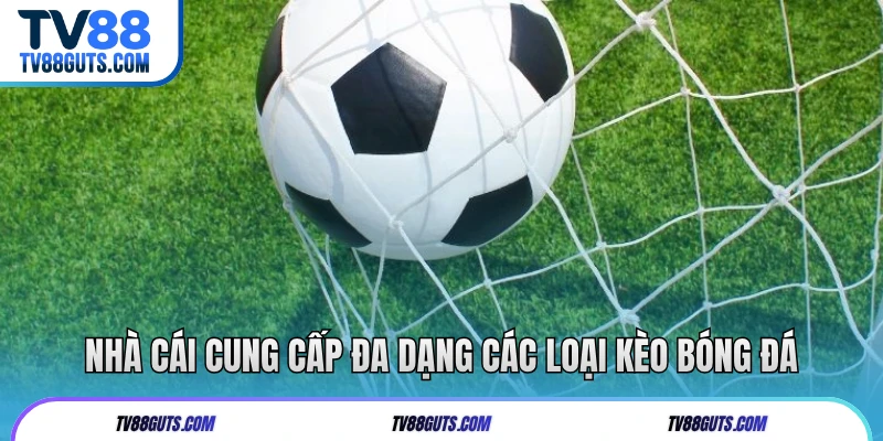 Nhà cái cung cấp đa dạng các loại kèo bóng đá