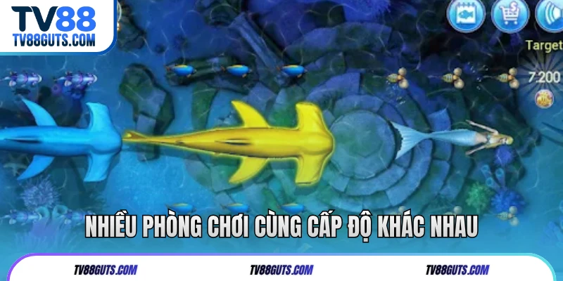 Nhiều phòng chơi cùng cấp độ khác nhau
