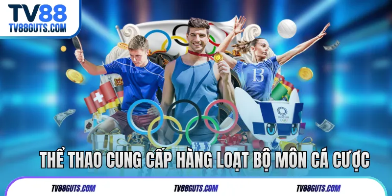 Trang Chủ 15 Thể thao cung cấp hàng loạt bộ môn cá cược