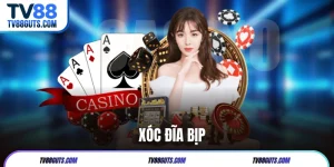 Xóc Đĩa Bịp | Cách Thức Nhận Biết Và Địa Chỉ Chơi Uy Tín